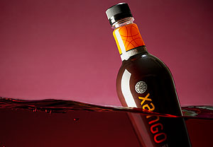 Xango mangost&aacute;n, comprar Mexico, venta en M&eacute;xico
